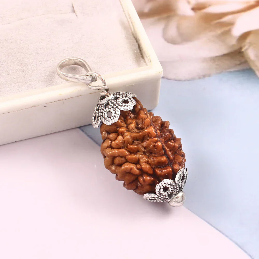 2 Face Rudraksha | Do Mukhi Rudraksha